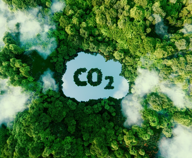 Sustainability